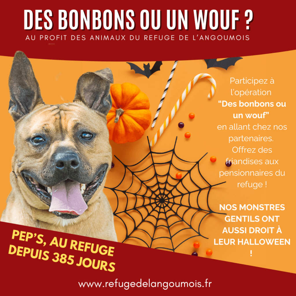 opération halloween - un bonbon ou un wouf - refuge de l'angoumois - SPA de Mornac - Charente
