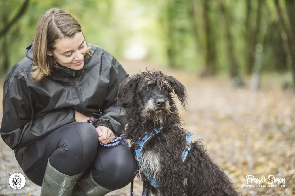 accueillir un chien adopté à la maison - refuge de l'Angoumois- SPA de Mornac - Crédit photo : Franck SIMON - photographe canin en Charente