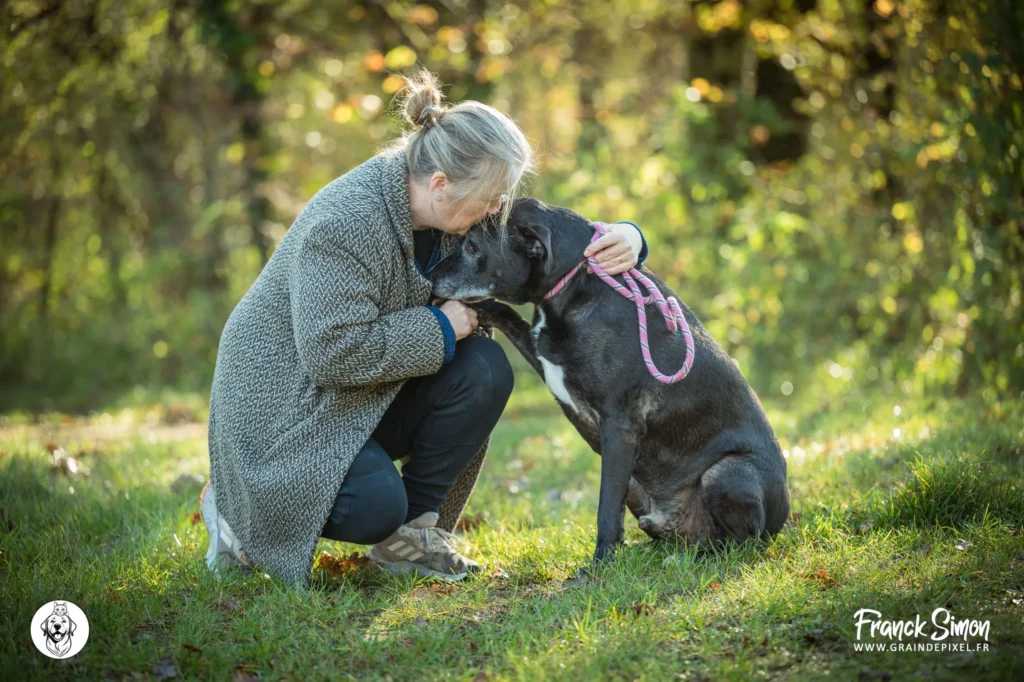 accueillir un chien adopté à la maison - refuge de l'Angoumois- SPA de Mornac - Crédit photo : Franck SIMON - photographe canin en Charente