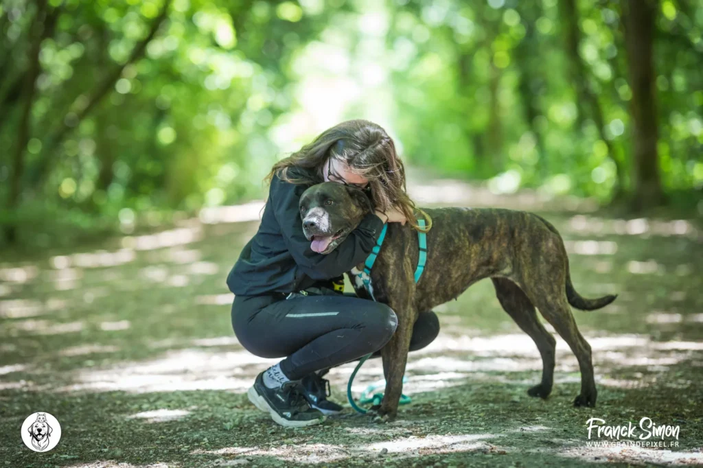 aider le refuge de l'Angoumois : devenez famille d'accueil pour nos animaux - crédit photo : Franck Simon - photographe pour le chien à Angoulême
